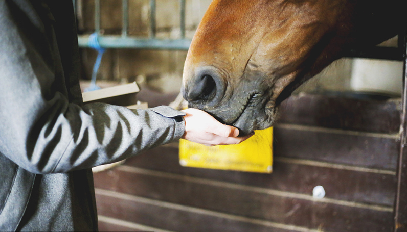 williamhill������ϣ��(����)Ψһ���Ĺٷ���վ-Official website