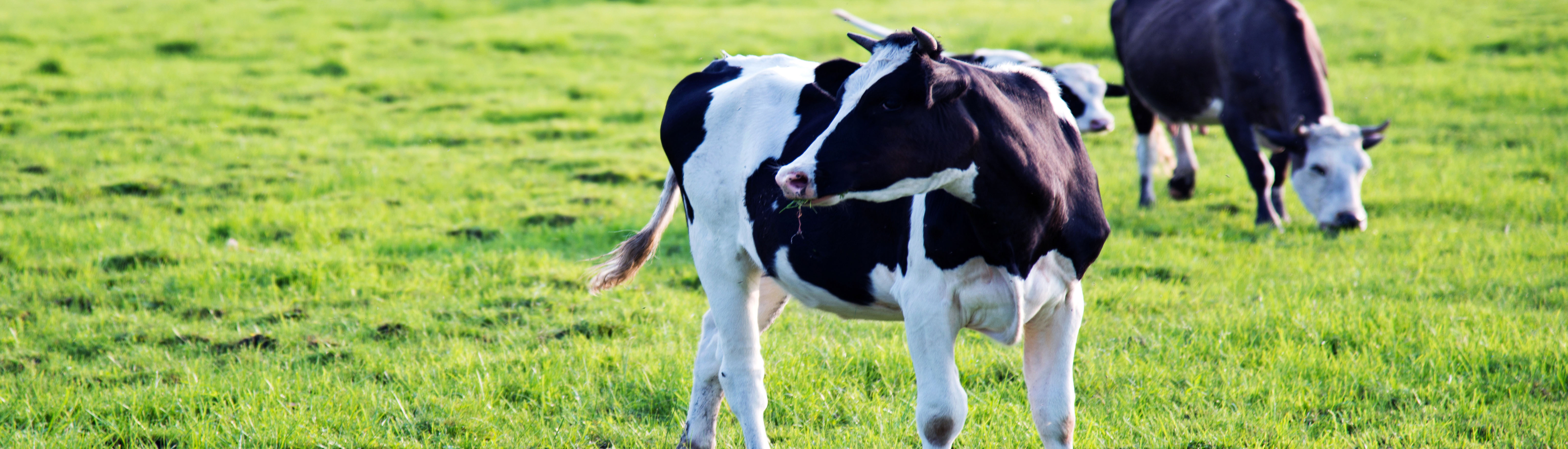 williamhill������ϣ��(����)Ψһ���Ĺٷ���վ-Official website